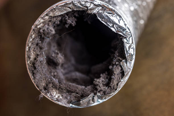 Best Commercial Air Duct Cleaning  in Creswell, OR